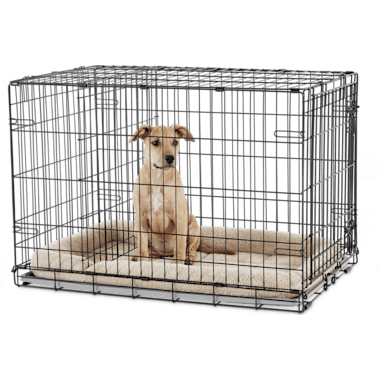 Dog Crates For Huskies Petco