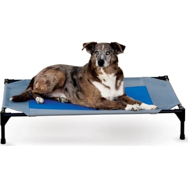 Best Dog Cooling Mat of 2024 Petco