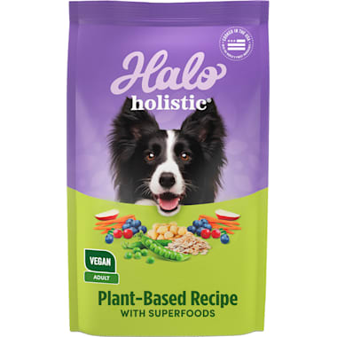Non Gmo Dog Food Petco