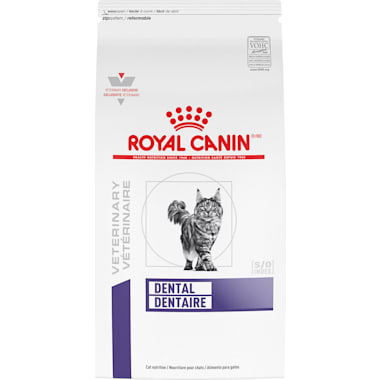 Soft Dry Food For Cats With Bad Teeth Petco