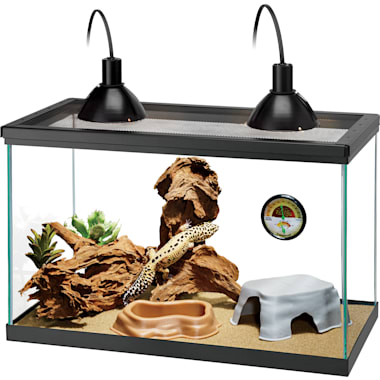 Starter Kits For Reptiles Petco