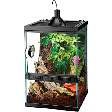 Starter Kits For Reptiles Petco