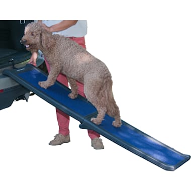 Good2go dog ramp cheap