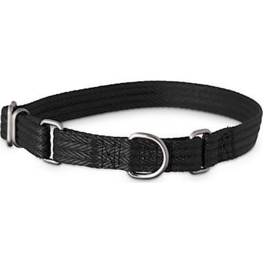 Martingale dog collar petco 2025