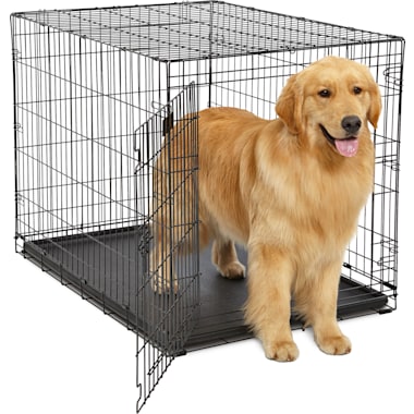 42 Inch Dog Crate Petco