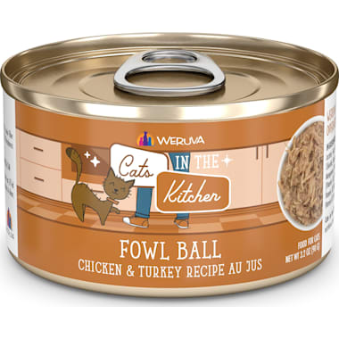 Best wet cat food for picky cats cheap