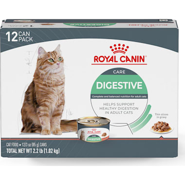 Best cat food for senior cats with digestive problems top