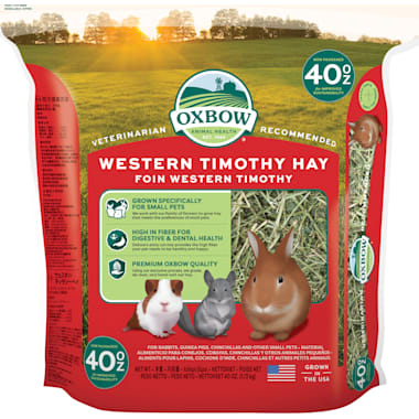 Petco hay feeder hotsell