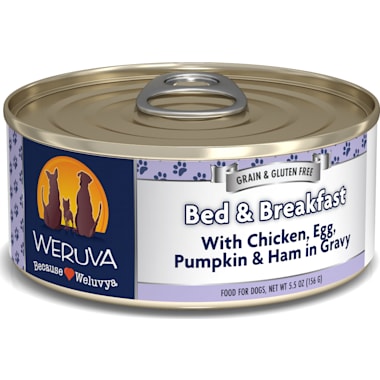 Best Wet Dog Food For Maltese of 2024 Petco
