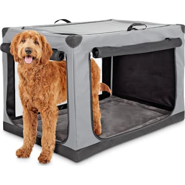 Dog Crate For Truck Bed Petco