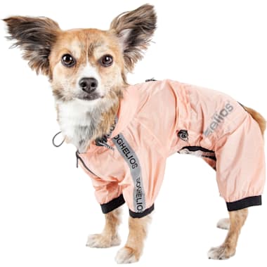 Dog Raincoat Petco