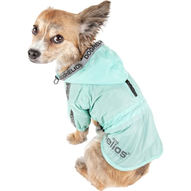 Dog raincoat petco store