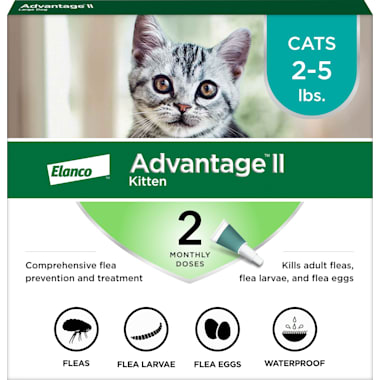 Flea And Worm Treatment For Cats Petco