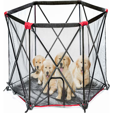 Cat playpen petco hot sale