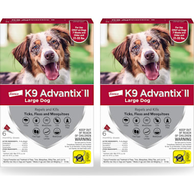 Petco ringworm treatment for dogs clearance