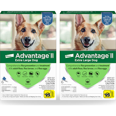 Petco ringworm treatment for dogs top