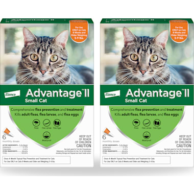 Best Flea Treatments For Cats of 2024 Petco