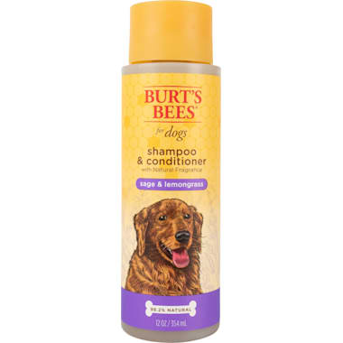 Good shampoo for huskies top