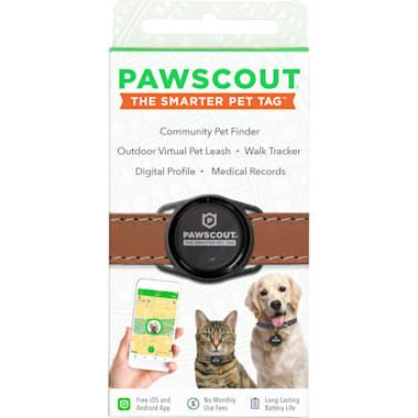 Dog tag silencers petco best sale