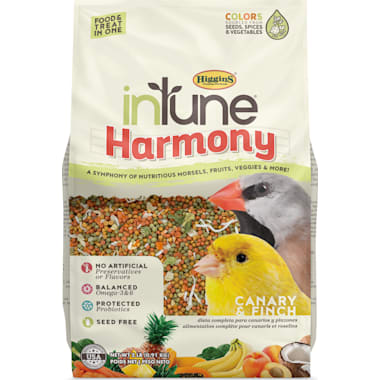Canary Bird Pet Care Petco