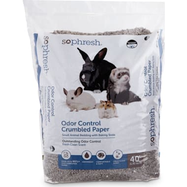 Best Bedding For Rabbits of 2024 Petco