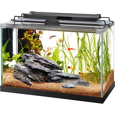 6 Gallon Fish Tanks Petco
