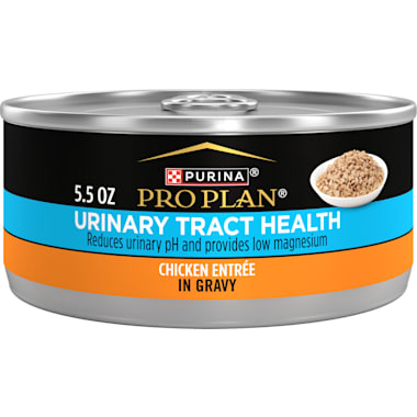 Low magnesium wet cat food clearance