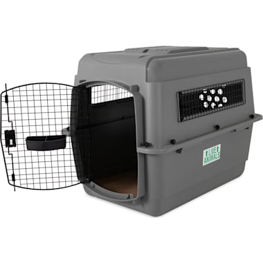 Xl dog crate petco best sale