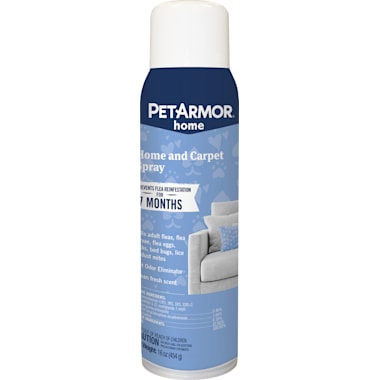 Flea treatment for couch top