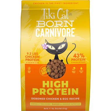 Best dry food for diabetic cats shop