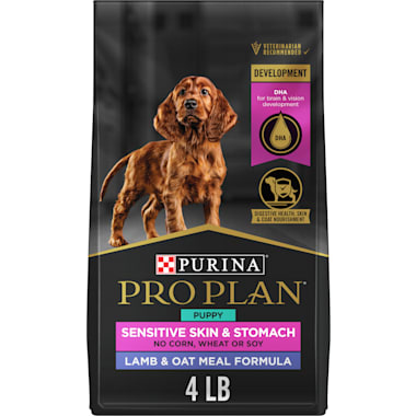 Best cocker spaniel food best sale