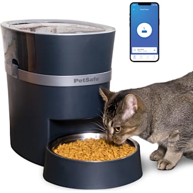 Best Automatic Cat Feeders of 2024 Petco