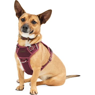 Sensation harness petco discount