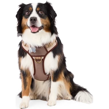 Harness For Long Haired Dogs Petco
