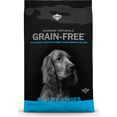 Best Tasting Dry Dog Food of 2024 Petco