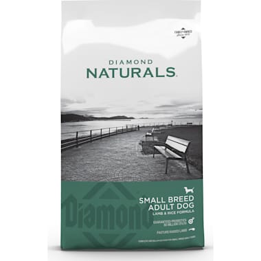 Best Affordable Puppy Food of 2024 Petco