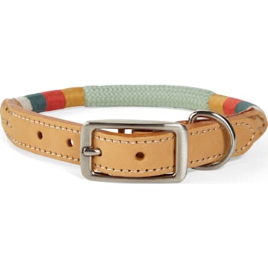 Cute Dog Collars For Small Dogs Petco
