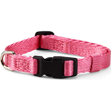 Dog collars at petco outlet