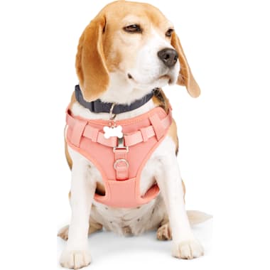 Petco harnesses online