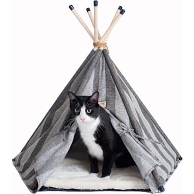 Cat Play Tents Petco