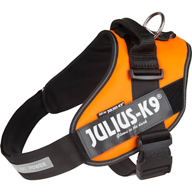 Best Harness For Boxer Dogs of 2024 Petco