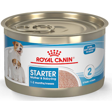 Dog food for nursing dogs cheap