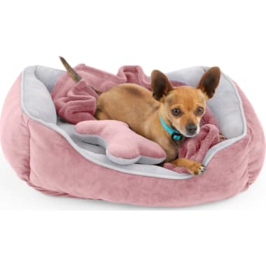Cute Pink Dog Beds Petco