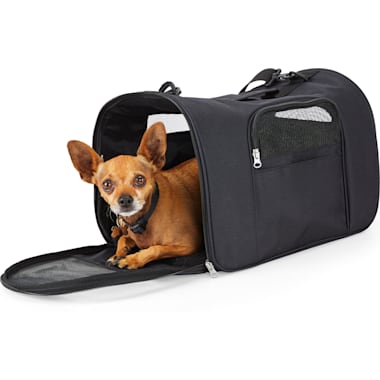 Best Cat Carriers of 2024 Petco