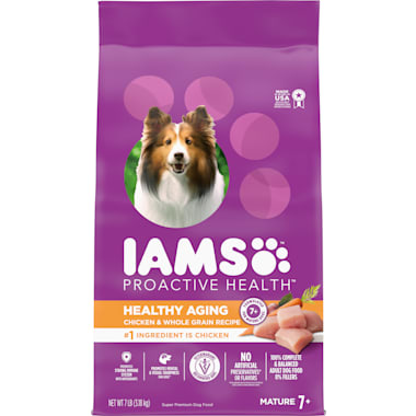 Best food for old dogs with bad teeth 2025