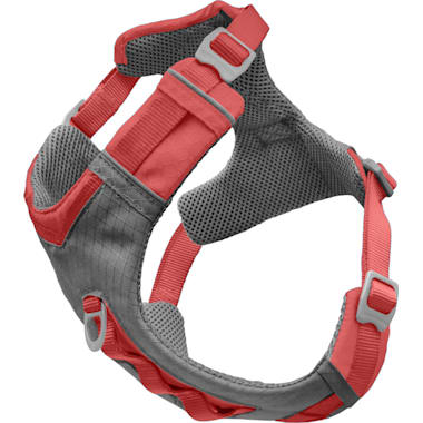 Dog Harness For Jack Russell Petco