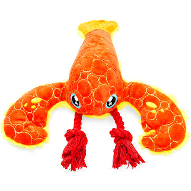 Kevlar dog toys cheap