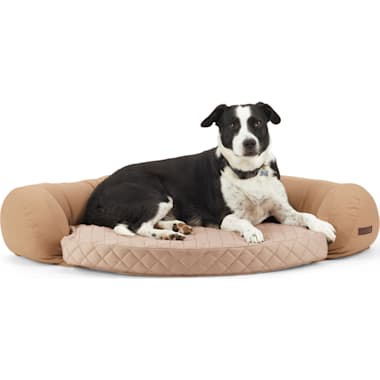 Best Dog Cooling Mat of 2024 Petco