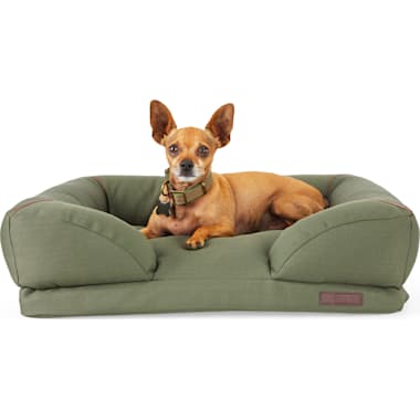 Indestructible Dog Beds Petco