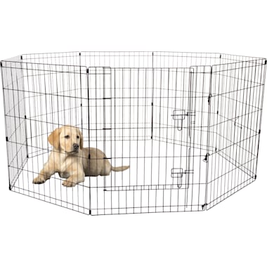 Dog playpen petco cheap